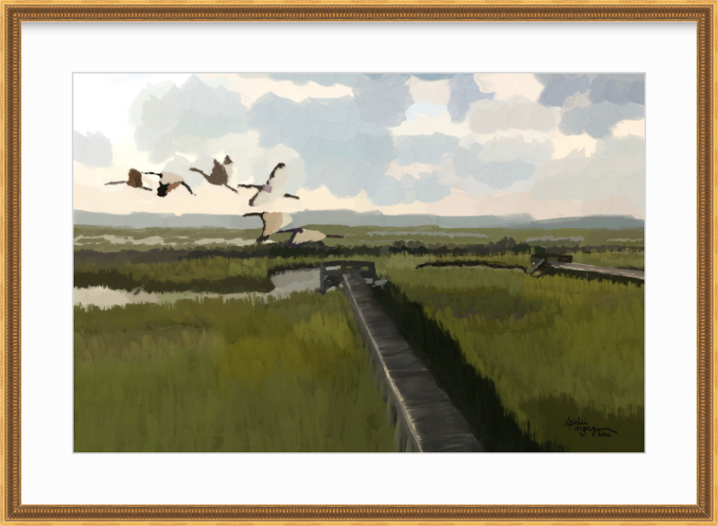 Marsh Crossing fine art print in an ornate gold frame with a white mat